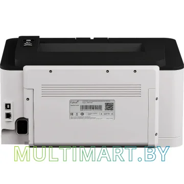Принтер F+ PB301DNW картинка 5
